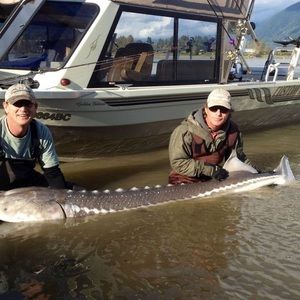 Meet your Posher, Cris